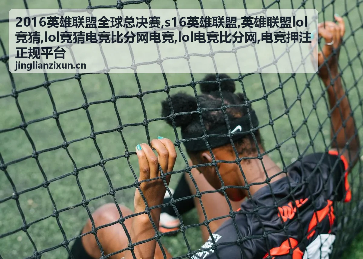 S16英雄联盟版本资料与战术趋势
